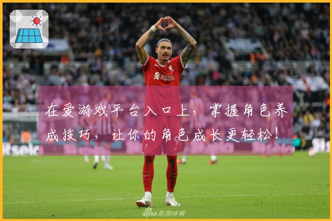 在爱游戏平台入口上，掌握角色养成技巧，让你的角色成长更轻松！