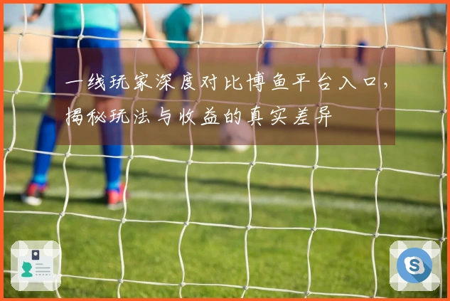 一线玩家深度对比博鱼平台入口，揭秘玩法与收益的真实差异