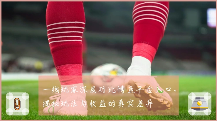 一线玩家深度对比博鱼平台入口，揭秘玩法与收益的真实差异