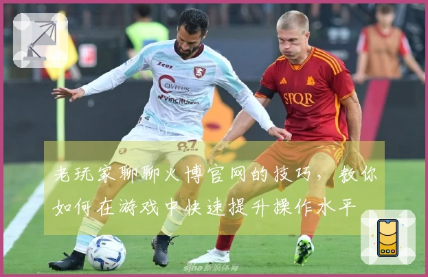 老玩家聊聊火博官网的技巧，教你如何在游戏中快速提升操作水平