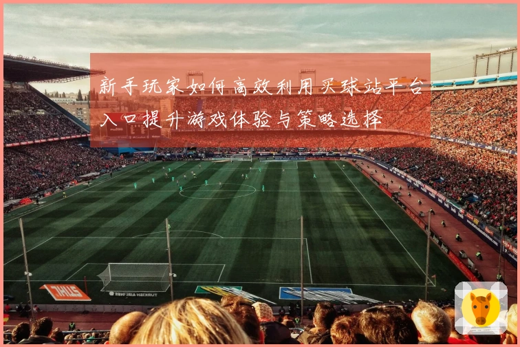 新手玩家如何高效利用买球站平台入口提升游戏体验与策略选择